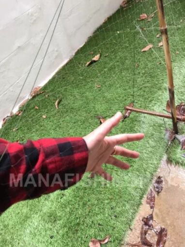 ตาข่ายกันงู 🅰️ กันงู — ล้อมรั้ว ยาว 200 เมตร รูปที่ 2