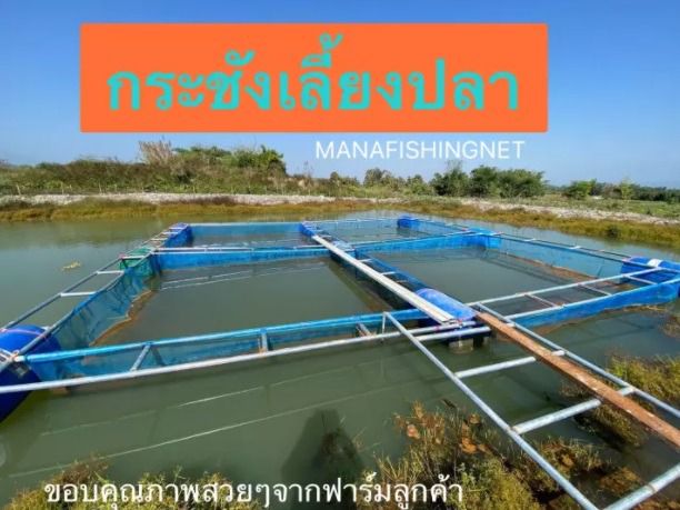 กระชัง กระชังเลี้ยงปลา กระชังมุ้งเขียว กระชังขังปลา กระชังอนุบาลปลา รูปที่ 8