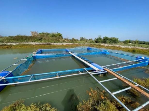 กระชังเลี้ยงปลา กุ้ง ริมแม่น้ำ เขื่อน ลำคลอง 🔸 ขนาด 1.8x1.8เมตร ลึก 1 เมตร 📌แบบสำเร็จพร้อมกาง รูปที่ 6