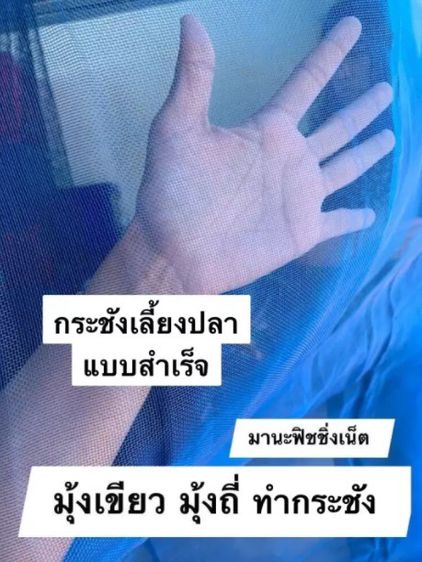 กระชังเลี้ยงปลา กุ้ง ริมแม่น้ำ เขื่อน ลำคลอง 🔸 ขนาด 1.8x1.8เมตร ลึก 1 เมตร 📌แบบสำเร็จพร้อมกาง รูปที่ 5