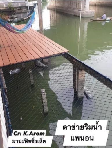 ตาข่ายแพนอน  เปลตาข่าย ตาข่ายนอน 🏝 ขนาด 2x2.5 เมตร รูปที่ 7