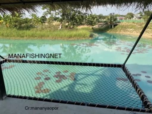 ตาข่ายแพนอน 🏖 สวยที่สุด 🌺สำหรับตกแต่งร้านอาหาร รีสอร์ท บ้านสวน รูปที่ 2
