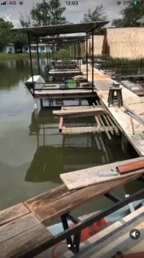 ตาข่ายเชือกถัก 📌ใช้สำหรับขึงนอนเล่น 🔺ขนาดมาตรฐาน 2x3 เมตร รูปที่ 8