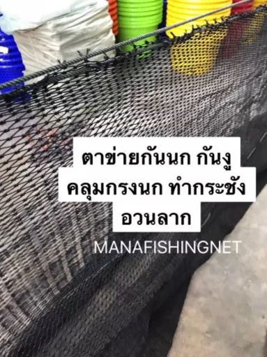 ตาข่ายกันนก กันงู คลุมบ่อปลา กรองขยะ และงานทั่วไป ตาข่ายตาถี่ ตาข่ายกันงู ตาข่ายคลุมกรงนก ตาข่ายกันตก รูปที่ 3