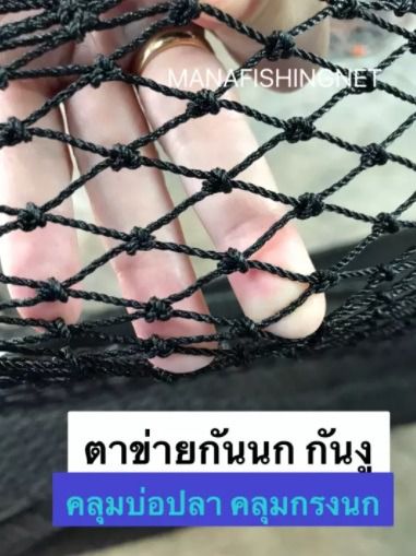 ตาข่ายกันนก กันงู คลุมบ่อปลา กรองขยะ และงานทั่วไป ตาข่ายตาถี่ ตาข่ายกันงู ตาข่ายคลุมกรงนก ตาข่ายกันตก รูปที่ 8