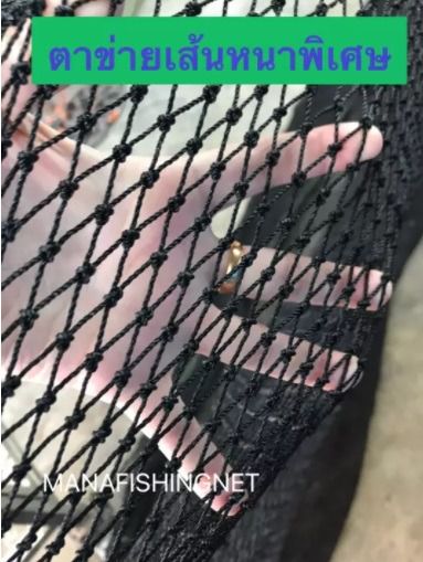 ตาข่ายกันนก กันงู คลุมบ่อปลา กรองขยะ และงานทั่วไป ตาข่ายตาถี่ ตาข่ายกันงู ตาข่ายคลุมกรงนก ตาข่ายกันตก รูปที่ 5