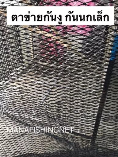 ตาข่ายกันนก กันงู คลุมบ่อปลา กรองขยะ และงานทั่วไป ตาข่ายตาถี่ ตาข่ายกันงู ตาข่ายคลุมกรงนก ตาข่ายกันตก รูปที่ 7