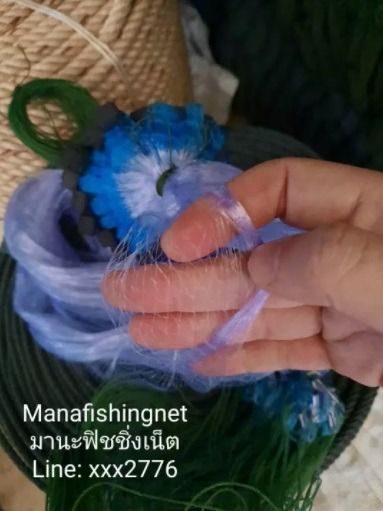 ตาข่ายดักปลาซิว ดักกุ้งฝอย ตาถี่สุด 1.3 เซ็น สำเร็จพร้อมใช้งาน รูปที่ 6