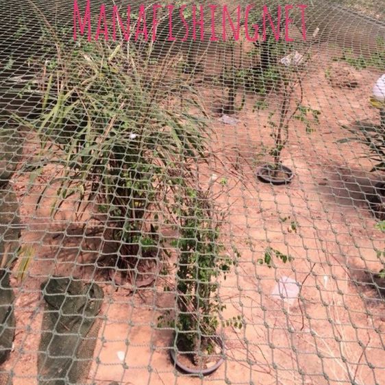 ตาข่าย ล้อมรั้ว กั้นสัตว์ — เกรด 🅰️ ขนาดยาว 15 เมตร เส้นเชือกไนลอนแข็งแรง UV Protection รูปที่ 2