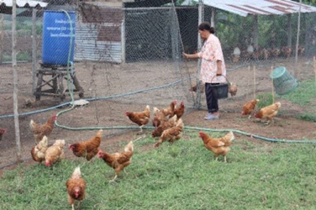 ตาข่าย ล้อมรั้ว กั้นสัตว์ — เกรด 🅰️ ขนาดยาว 15 เมตร เส้นเชือกไนลอนแข็งแรง UV Protection รูปที่ 3