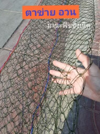 มองล้อมปลา มองกักปลา ด่างล้อมปลา ด่างกักปลา 📌เนื้อเปล่า ยาว 15 เมตร รูปที่ 2