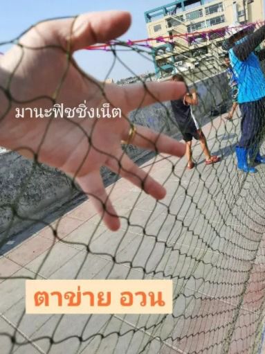 อวนไนลอน เนื้ออวนเปล่า📌ใช้ทำ อวนล้อมปลา อวนลากปลา กระชัง ไอ้โง่ดักปลา กรงดักปู 🅰️เนื้ออวนเปล่า ขนาด 2x15 เมตร รูปที่ 3
