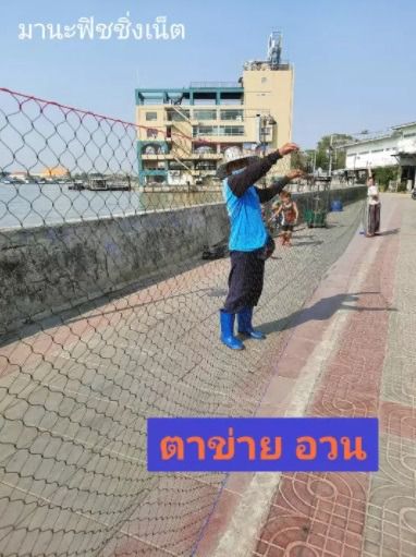 อวนไนลอน เนื้ออวนเปล่า📌ใช้ทำ อวนล้อมปลา อวนลากปลา กระชัง ไอ้โง่ดักปลา กรงดักปู 🅰️เนื้ออวนเปล่า ขนาด 2x15 เมตร รูปที่ 4