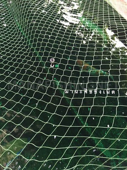 ตาข่ายคลุมบ่อปลา ปลาคาร์พ ปลาเลี้ยง สระน้ำ อ่างเลี้ยงปลา UV Protection รูปที่ 4