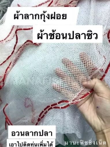อวนลากปลา แบบสำเร็จเย็บเป็นถุงพร้อมเชือกลาก 📌 ขนาด 4 เมตร - 7 เมตร รูปที่ 6