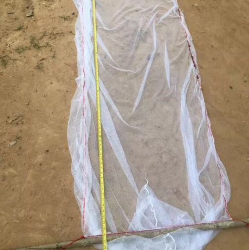 ที่จับกุ้งฝอย ปลาซิว ปลาตัวเล็ก รูปที่ 2