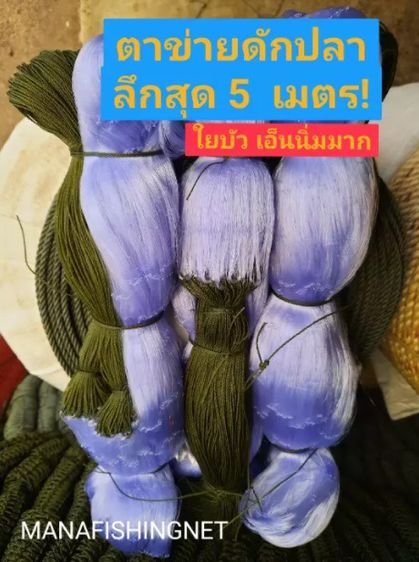 มองปลิว รุมหู เอ็นใยบัว ‼️ น้ำลึก 5 เมตร รูปที่ 6