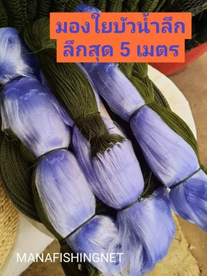 มองปลิว รุมหู เอ็นใยบัว ‼️ น้ำลึก 5 เมตร รูปที่ 2