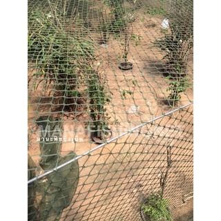 ตาข่าย ป้องกันน้องหมา น้องแมว ออกนอกประตูบ้าน ออกนอกรั้ว หรือ ดาดฟ้า ริมระเบียง หรือ ล้อมบริเวณ รูปที่ 7