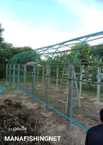 ตาข่ายทำกรง ตาข่ายเลี้ยงสัตว์ UV Protection รูปที่ 4