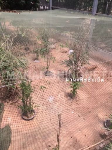 ตาข่ายทำกรง ตาข่ายเลี้ยงสัตว์ UV Protection รูปที่ 3