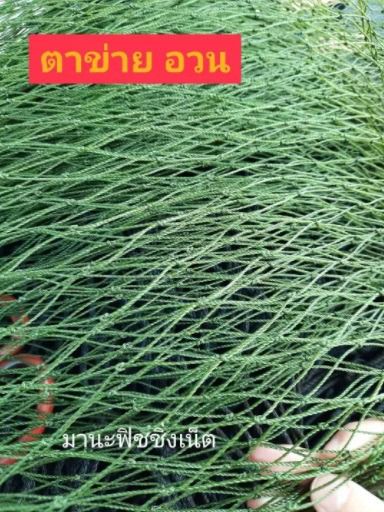 ตาข่ายเชือก เกรดเอ ขนาด 1.5x15 เมตร UV Protection รูปที่ 3