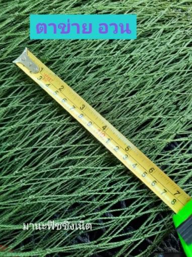 ตาข่ายเชือก เกรดเอ ขนาด 1.5x15 เมตร UV Protection รูปที่ 2