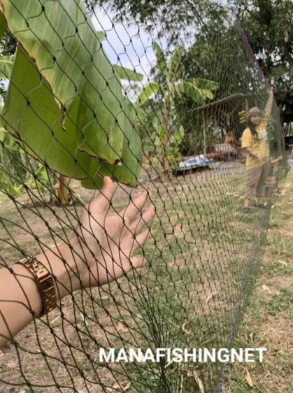 ตาข่ายกันงู ตาข่ายล้อมกันงู ตาข่ายจับงูหลาม  ป้องกันงูหลามกินเป็ดไก่นก ป้องกันงูเหลือมกินแมวสุนัข รูปที่ 6