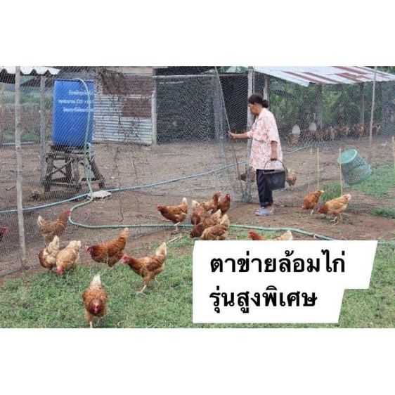 ตาข่ายล้อมสวน ตาข่ายล้อมคอก ตาข่ายอเนกประสงค์ ขนาด 1.5x15 เมตร รูปที่ 11