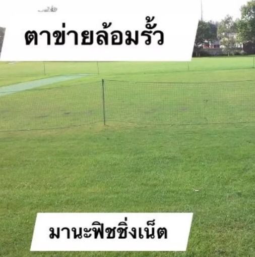 ตาข่ายล้อมสวน ตาข่ายล้อมคอก ตาข่ายอเนกประสงค์ ขนาด 1.5x15 เมตร
