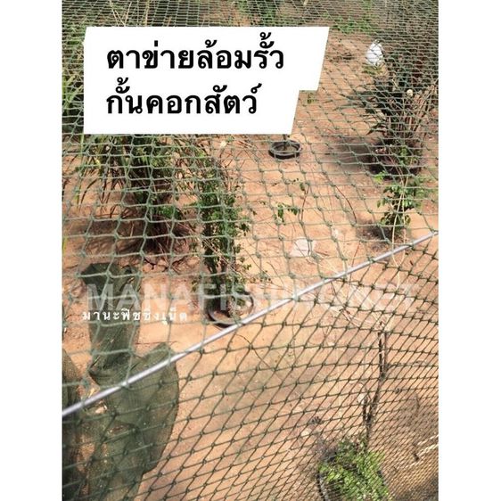 ตาข่ายล้อมสวน ตาข่ายล้อมคอก ตาข่ายอเนกประสงค์ ขนาด 1.5x15 เมตร รูปที่ 14