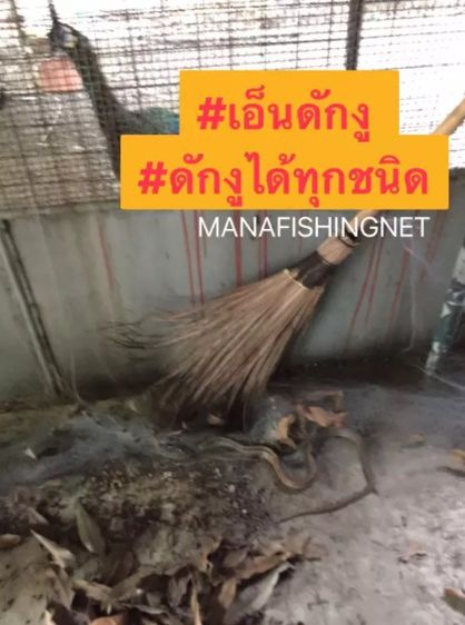 ตาข่ายล้อมเป็ด ล้อมไก่ 📌 ตาข่ายเอ็นใสกันงู ยาว 100 เมตร รูปที่ 4