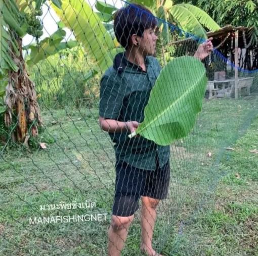 ตาข่ายล้อมสวน ป้องกันงูหลาม ขนาด 1.5x15 เมตร Super Net รูปที่ 2