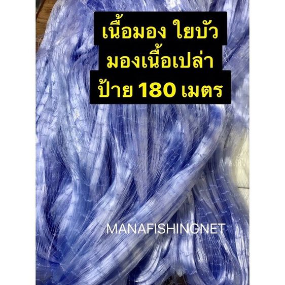 อวนเอ็น 3.8 เซ็น ลึก 75 ตา (2.8 เมตร) ป้าย 180 เมตร เอ็น 0.15 🔺 ตาข่ายดักปลา เนื้ออวน มองดักปลา เนื้อเปล่า รูปที่ 4