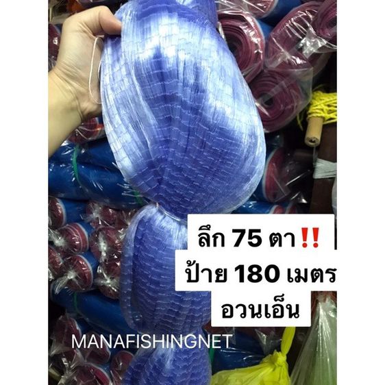 อวนเอ็น 3.8 เซ็น ลึก 75 ตา (2.8 เมตร) ป้าย 180 เมตร เอ็น 0.15 🔺 ตาข่ายดักปลา เนื้ออวน มองดักปลา เนื้อเปล่า รูปที่ 6
