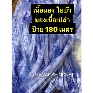 อวนเอ็น ตาข่าย มองใยบัว เนื้อป่าว 🔺น้ำลึก 75 ตา ป้าย 180 เมตร เอ็น 0.15 🔸 มีตา 3 ซม  3.5 ซม  3.8 ซม  4 ซม  ให้เลือก รูปที่ 9