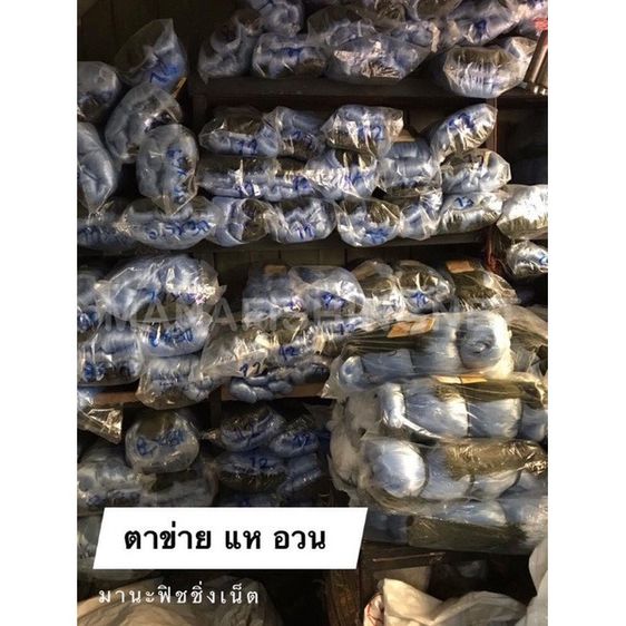 อวนเอ็น ตาข่าย มองใยบัว เนื้อป่าว 🔺น้ำลึก 75 ตา ป้าย 180 เมตร เอ็น 0.15 🔸 มีตา 3 ซม  3.5 ซม  3.8 ซม  4 ซม  ให้เลือก รูปที่ 6
