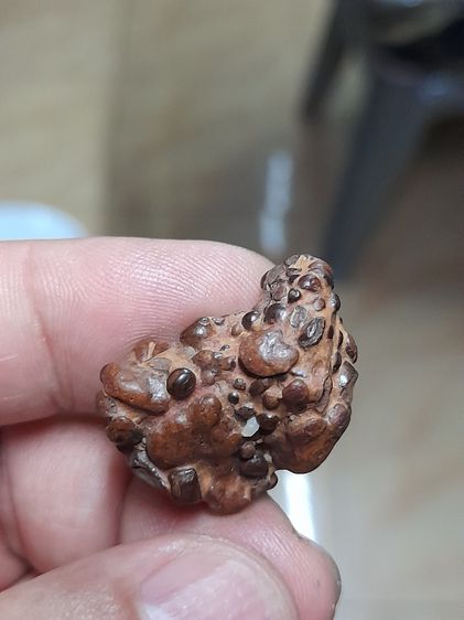 เหล็กไหลน้ำ สีน้ำตา่ล มีเม็ดสีดำงอก ขนาดใหญ่ประมาณเม็ดขนุน เป็นเหล็กไหลที่มีลักษณะเป็นก้อนสีน้ำตา่ล มีเม็ดสีดำงอกออกมา ผิวเนียน เป็นมันด้านๆ รูปที่ 5