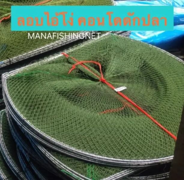 ไอ้โง่ดักปลาราคาถูก 📌 คอนโดดักปลา ดักกุ้ง รูปที่ 2