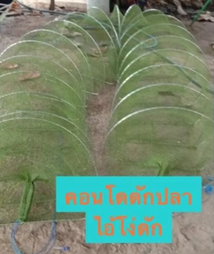 ไอ้โง่ดักปลา 📌มียาวสุด 40 ห่วง (13 เมตร) 🔰 มีหลายขนาดให้เลือก รูปที่ 6