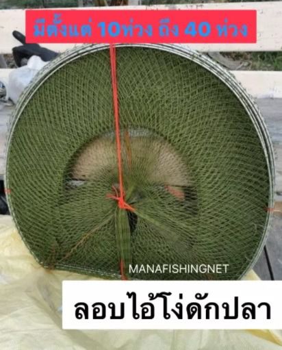 ไอ้โง่ดักปลา 📌มียาวสุด 40 ห่วง (13 เมตร) 🔰 มีหลายขนาดให้เลือก รูปที่ 2
