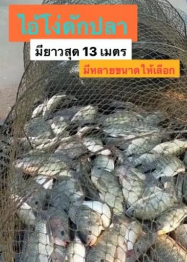 ไอ้โง่ดักปลา 📌มียาวสุด 40 ห่วง (13 เมตร) 🔰 มีหลายขนาดให้เลือก รูปที่ 7