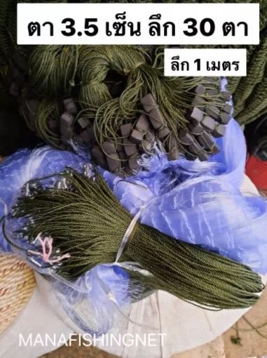 มองดักปลา  ตาข่ายดักปลา‼️ แบบตาครึ่ง 🅰️ ตา 3,5 เซ็น   4.5 เซ็น   5.5 เซ็น   6.5 เซ็น รูปที่ 6