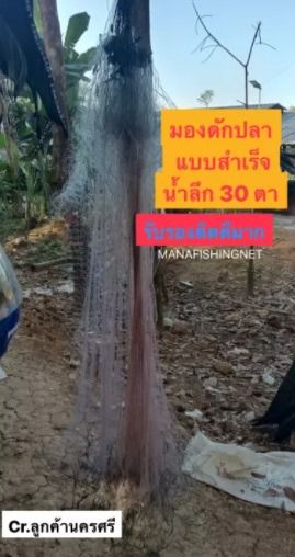 มองดักปลา  ตาข่ายดักปลา‼️ แบบตาครึ่ง 🅰️ ตา 3,5 เซ็น   4.5 เซ็น   5.5 เซ็น   6.5 เซ็น รูปที่ 2