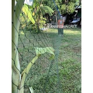 ตาข่ายกันนก. เกรดเอ UV Protection 🅰️ 1 ผืนยาว 15 เมตร รูปที่ 9