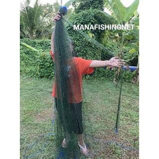 ตาข่ายกันนก. เกรดเอ UV Protection 🅰️ 1 ผืนยาว 15 เมตร รูปที่ 5