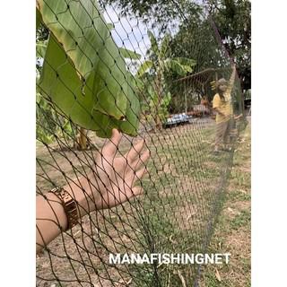 ตาข่ายกันนก. เกรดเอ UV Protection 🅰️ 1 ผืนยาว 15 เมตร รูปที่ 6