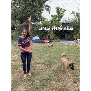 ตาข่ายกั้นน้องหมา น้องแมว น้องเหมียว สุนัขแสนรู้ ขนาด 1.5x15 เมตร  ตาข่ายไนลอน  คอกสัตว์  เลี้ยงสุนัข  เลี้ยงแมว รูปที่ 3