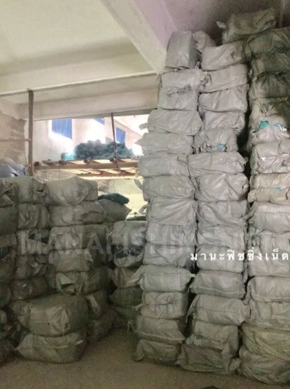 ไอ้โง่ดักกุ้ง ไซดักกุ้ง ยาวสุด 27 ขอบ ขอบ สี่เหลี่ยม 22-38 เซ็น ตาอวนถี่  📌ยาว 8 เมตร  ตัวเหลี่ยม รูปที่ 2