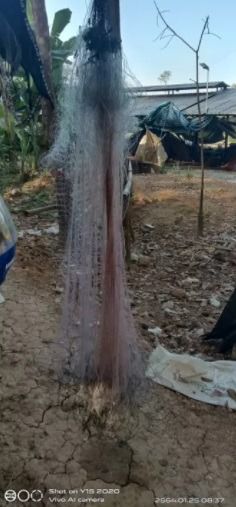 มองดักปลา ปากใหญ่ รุ่นน้ำลึก 30 ตา📌ติดทุ่นตะกั่วแบบสำเร็จ